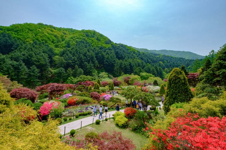 Petite France, Nami Island & Garden of Morning Calm thumbnail